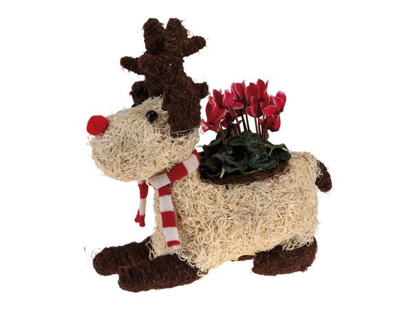 Reindeer Christmas Composition