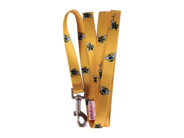 Pet Lead