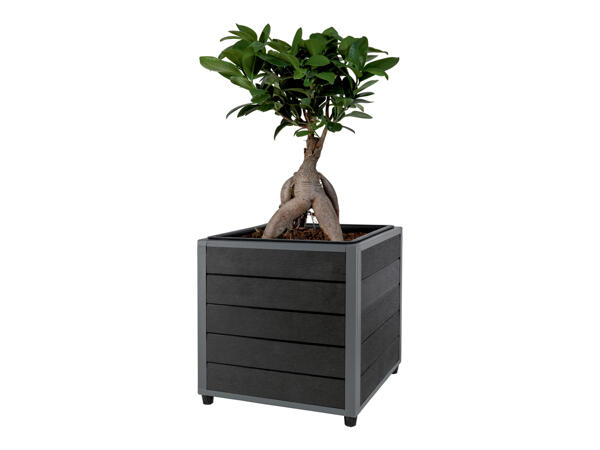 Plant Trough
