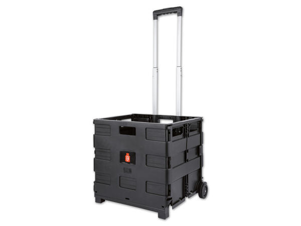 Transportbox