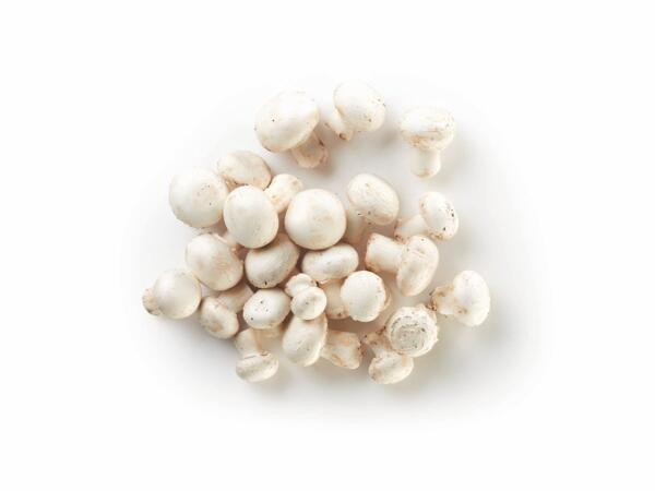 Mushrooms