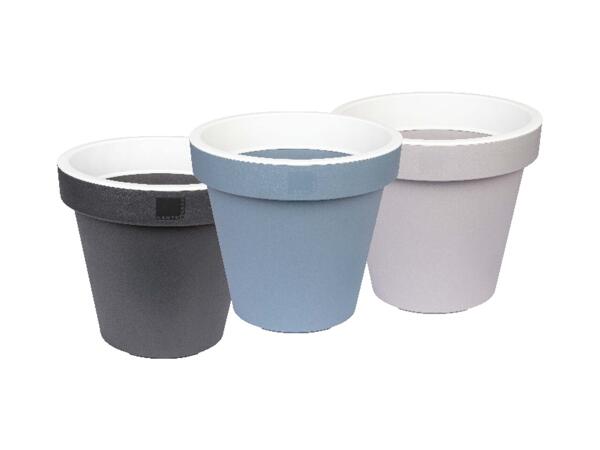 Plant Pot