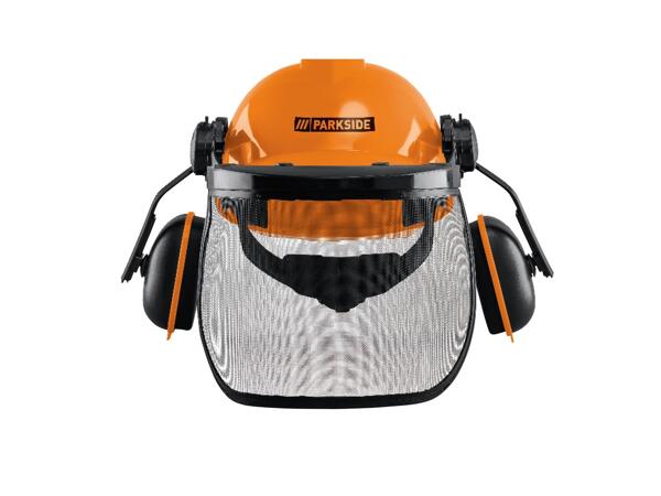 Forestry Safety Helmet