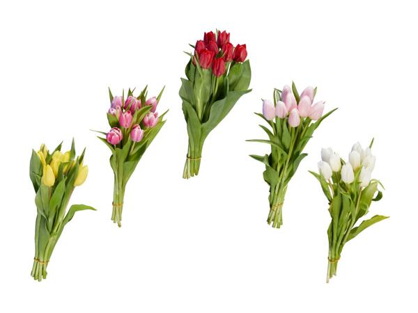 Tulipes