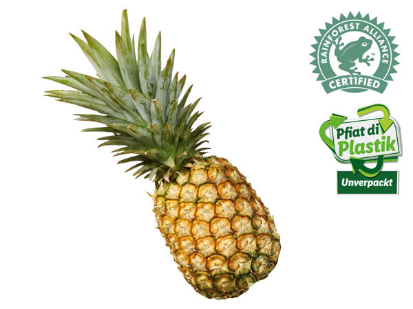 Ananas