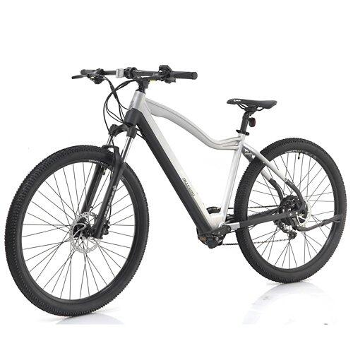ALLEGRO Invisible E-MTB AXIM°03 19", Steel