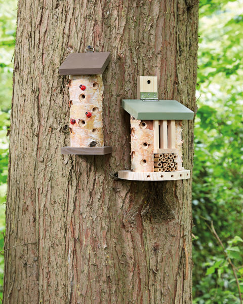 Bird Box Bug Barn