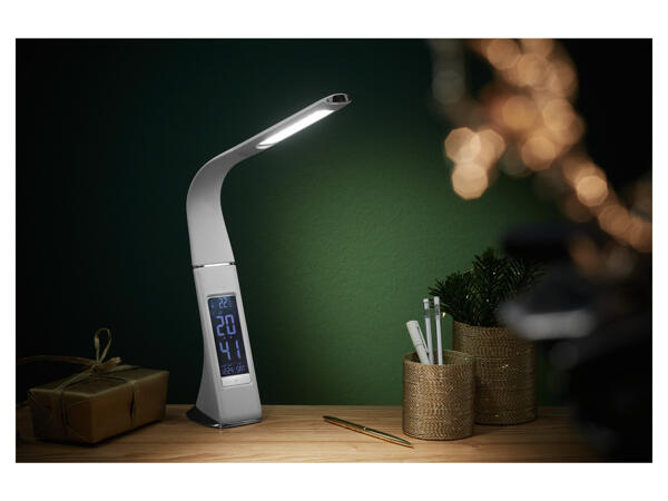 LED Desk Lamp
