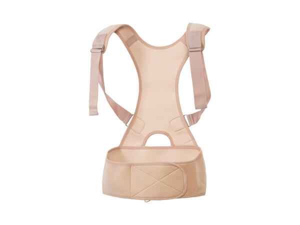 Back Support Belt