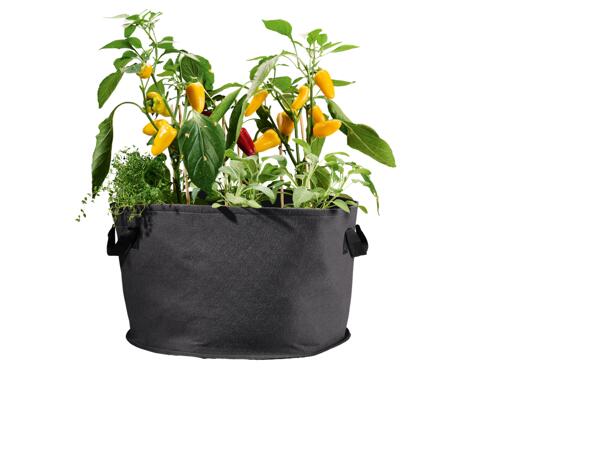 Grow Bags Set