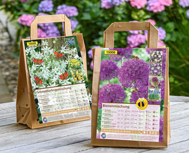 Bienen- und Schmetterlings- freundliche Blumenzwiebeln