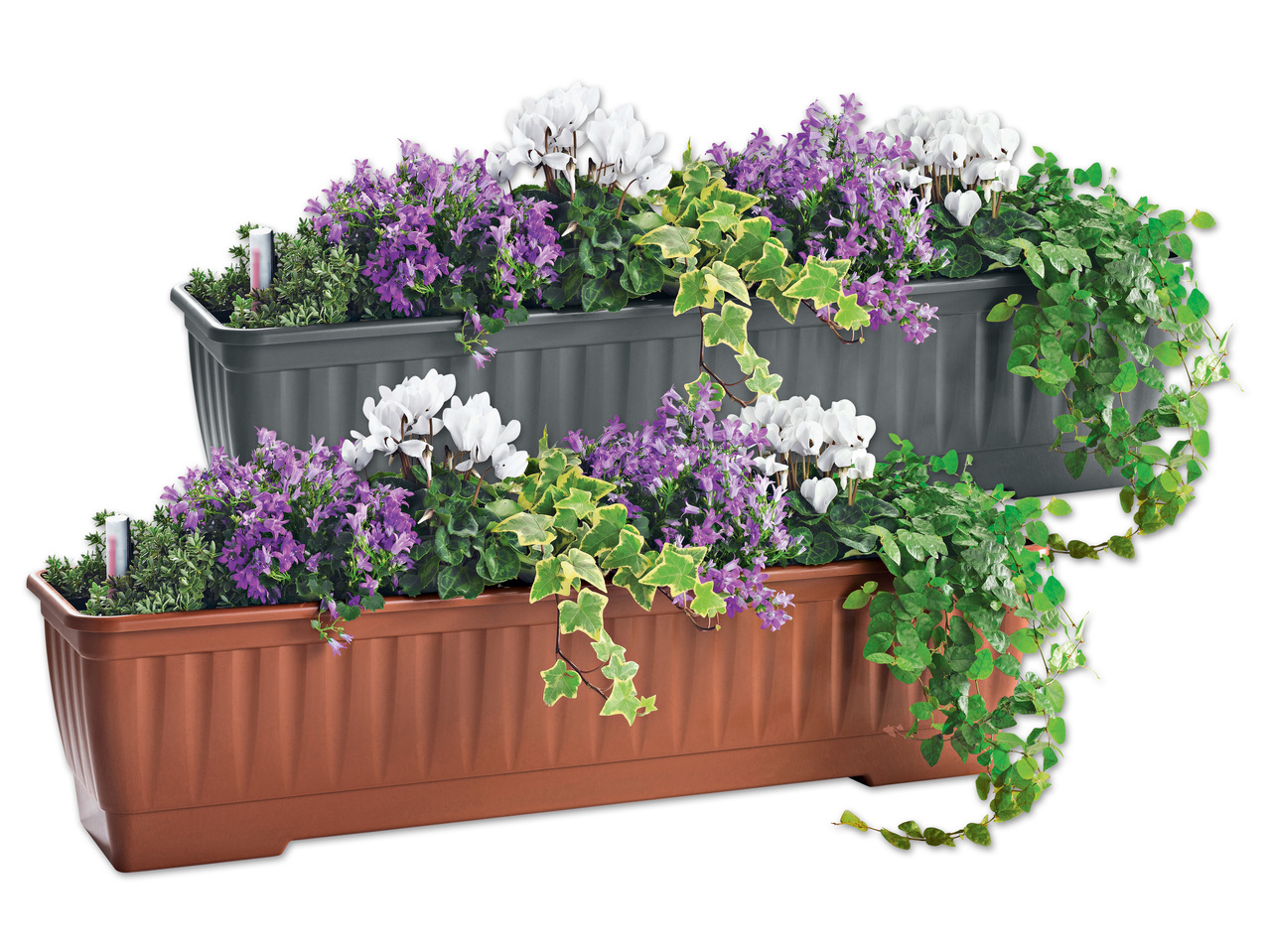 FLORABEST(R) Blumenkasten, 60 cm