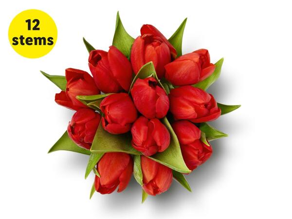 Valentines Tulips