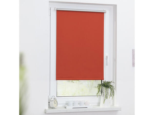 Termo zatemňovací roleta, od 45 x 150 cm