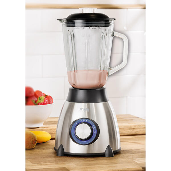 Edelstahl-Profi-Standmixer 550 Watt