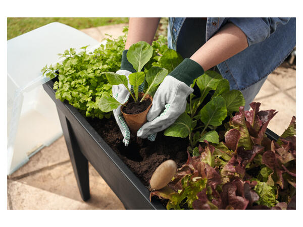 Raised Planter with Cover