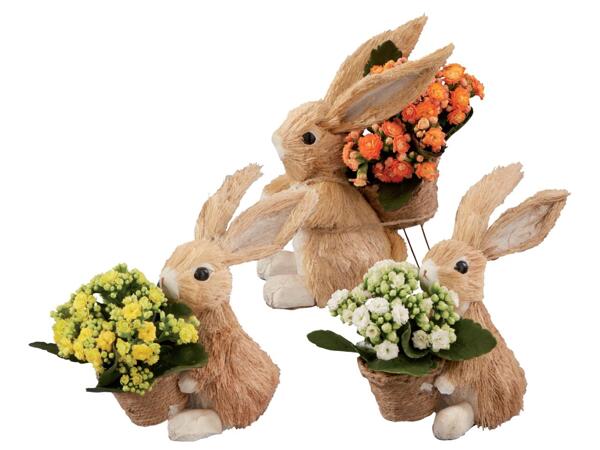 Easter bunny