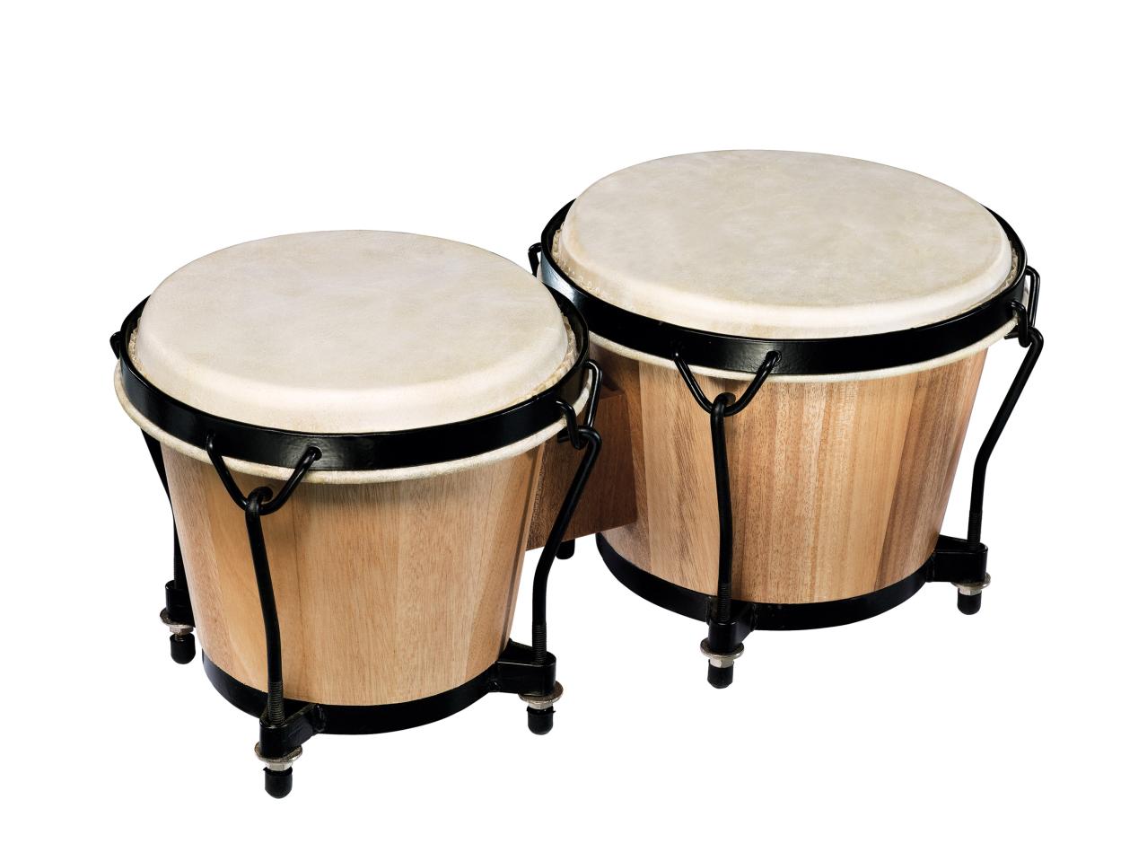 Bongo Set1