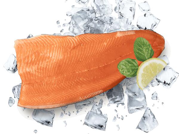 Frisches Lachsforellenfilet