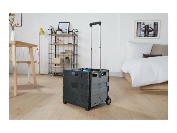 Folding Wheel Trolley