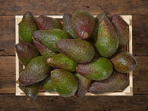 Avocat