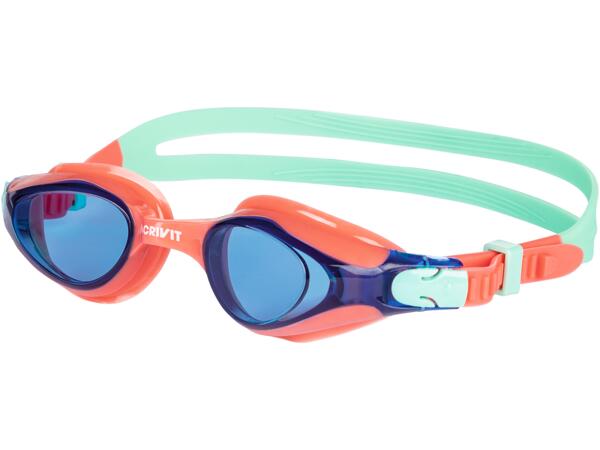Swimming Goggles