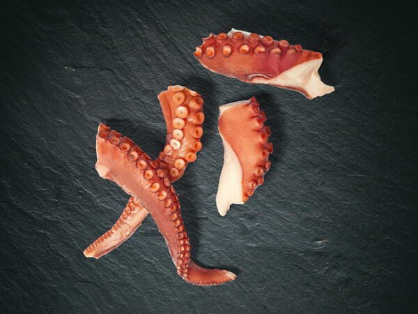 Tentacoli di polpo