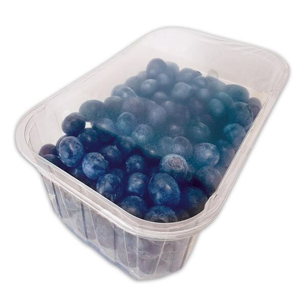 Heidelbeeren