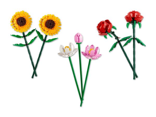 Blume