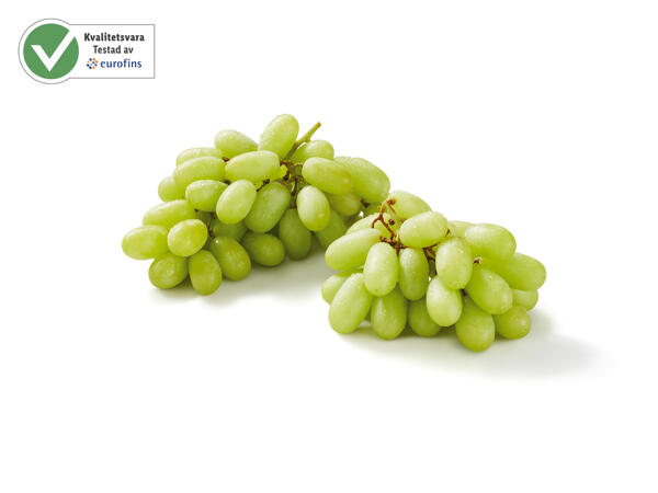 Gröna vindruvor
