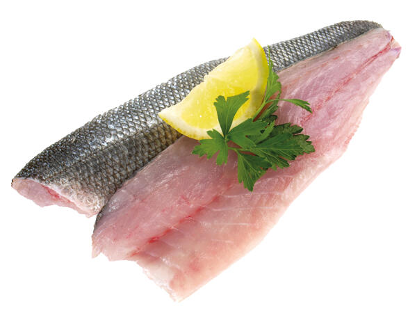 Frisches Wolfsbarschsfilet