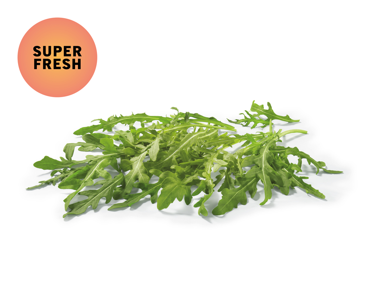 Roquette (au moins - 30 % sur le prix du jour actuel)