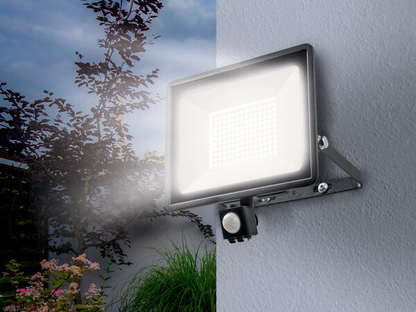 LED Outdoor Light