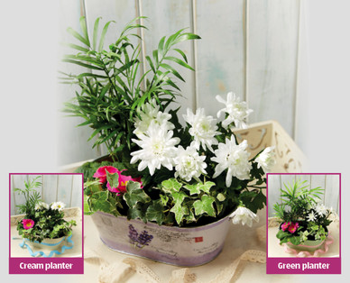 Mother's Day Gift Planter