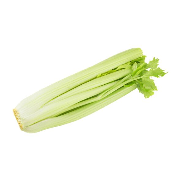 Bladselleri