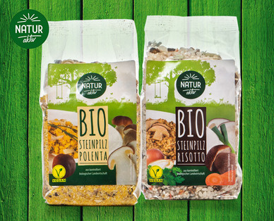NATUR AKTIV Vegetarisches Bio-Gericht