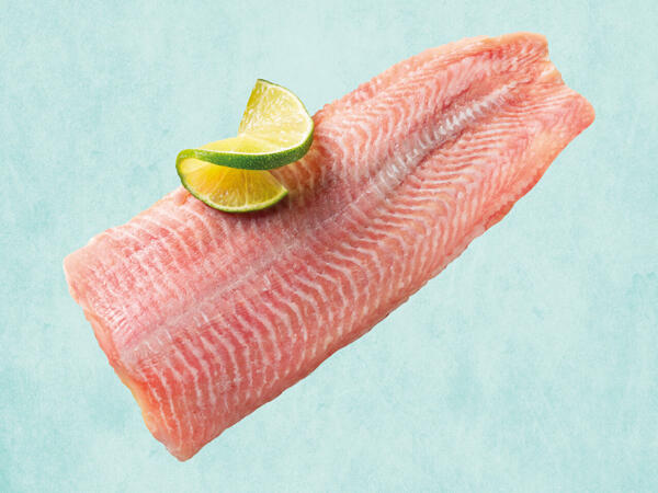 Welsfilet