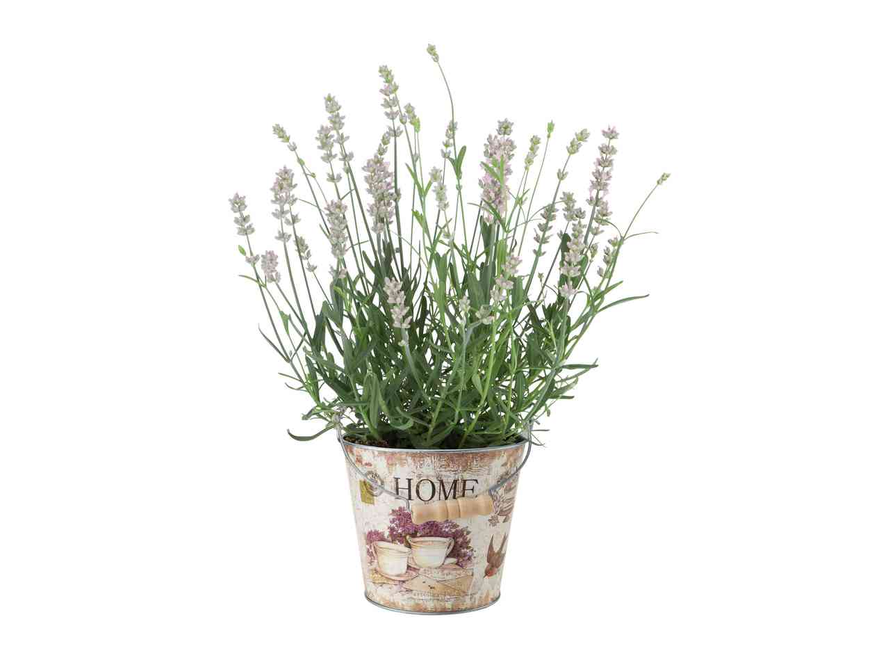 Decorative Metal Pot