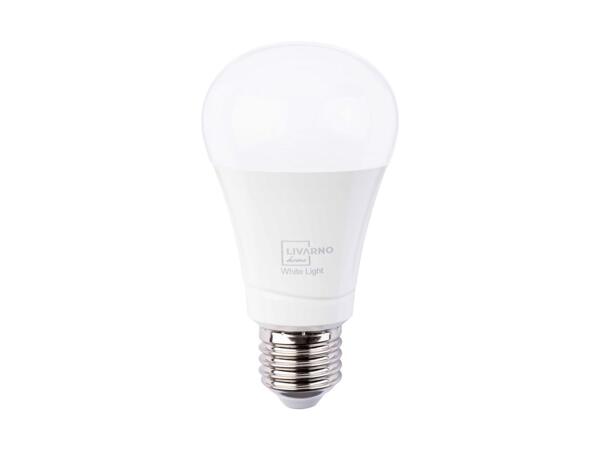 LIVARNO HOME(R) LED-pære