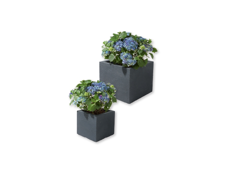 Plantenbak