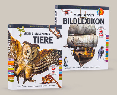 Bildwörterbuch/ -lexikon