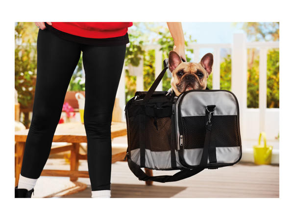 Zoofari Pet Carrier1
