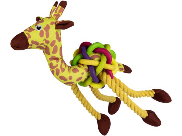 Dog Chew Toy