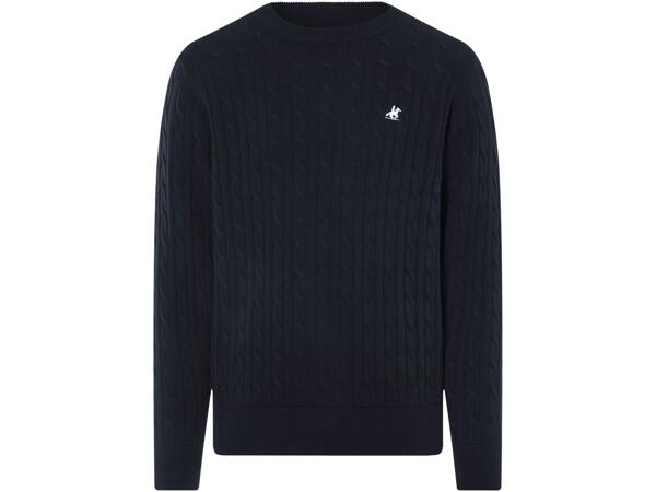 Men's Jumper