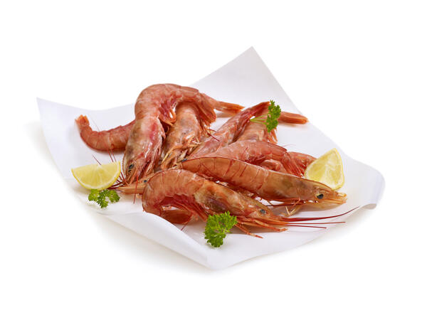 Argentinische Scampi 10/20