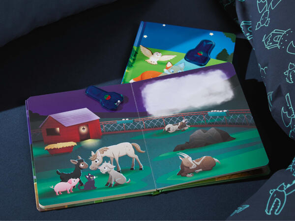 Livre d'images avec lampe torche UV (uniquement en Suisse alémanique)