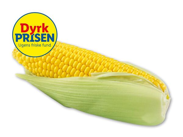 Nyhøstede majs