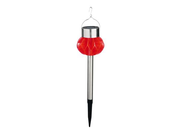 Livarno Decorative Solar Light