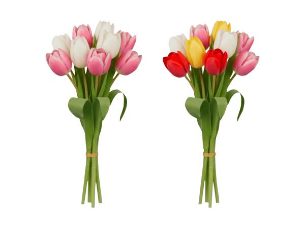 Tulipes Harlequin