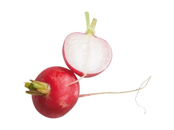 Radish